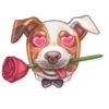 Dog it! 16