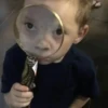 Gavin 14