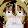 Luffy 16