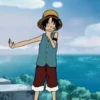 Luffy 17