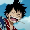Luffy 18