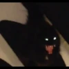 豐