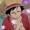 Luffy 19