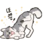 Cute wolf family 18
