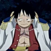 Luffy 21