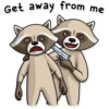 Criminal Raccoon 21