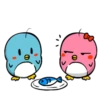 Lovely couple penguins - 19