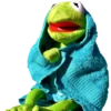 Kermit The Frog 23