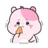 Kiki Hamster 19