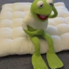 Kermit The Frog 24