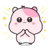 Kiki Hamster 20