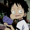 Luffy 22