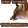 КОМУ НУЖНЫ
ТВОИ ПРИВЕТЫ