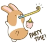 Coffee Rabbit 21