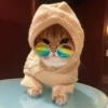 Meow's stickers 16