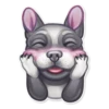 Dog it! 21