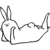 rabbit with beautiful legs 21