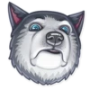 Dog it! 22