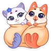 Meow Kiss 20