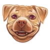 Dog it! 23