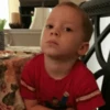 Gavin 19