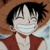 Luffy 23