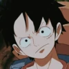 Luffy 24