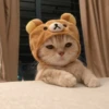 Meow's stickers 21