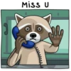 Criminal Raccoon 25