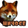 НИНOGE