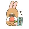 Coffee Rabbit 24