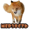 MED30CTD