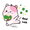 Kiki Hamster 24