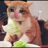 ANOS