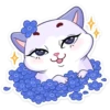 Meow Kiss 25
