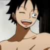 Luffy 28