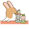 Coffee Rabbit 27