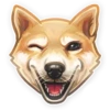Dog it! 29