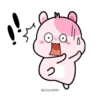 Kiki Hamster 26
