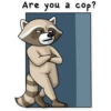 Criminal Raccoon 30