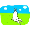 rabbit with beautiful legs 29
