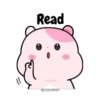 Kiki Hamster 30