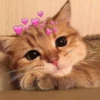 Meow's stickers 30