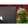 Kermit The Frog 30