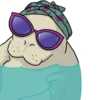 Lamentino the manatee 5