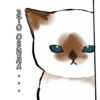 Котики mofu_sand 7
