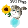 Котики mofu_sand 8