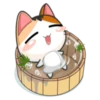 Kisa 6