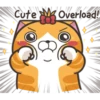 Cute Overload!
S03
8