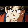 Dragon Ball 10